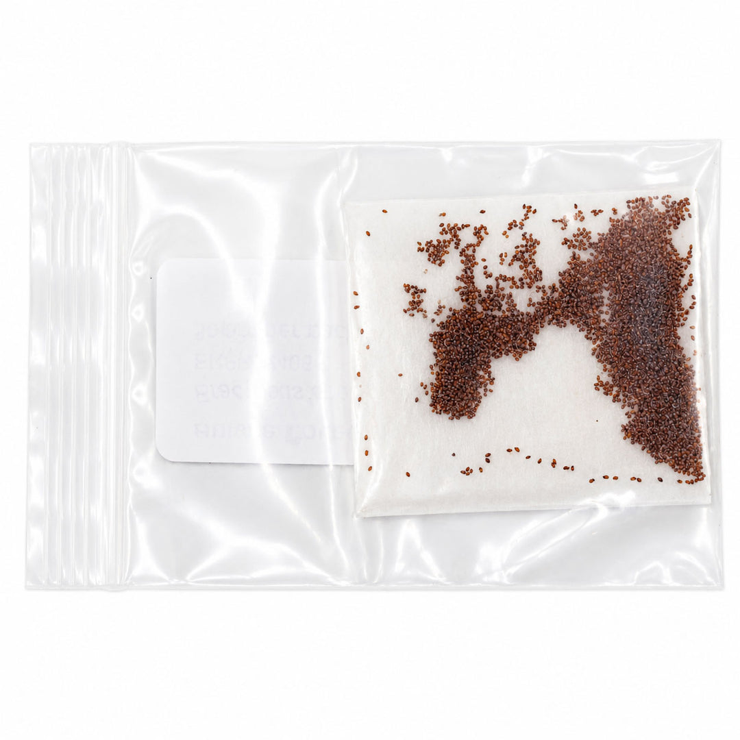 Clear plastic packaging with brown seeds on a white background