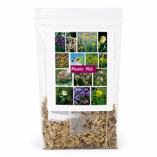 Clear packet of wildflower mix with images of various flowers on the label