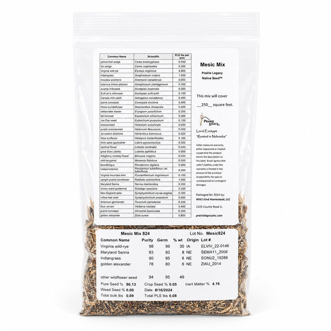Seed packet with detailed information on a white background