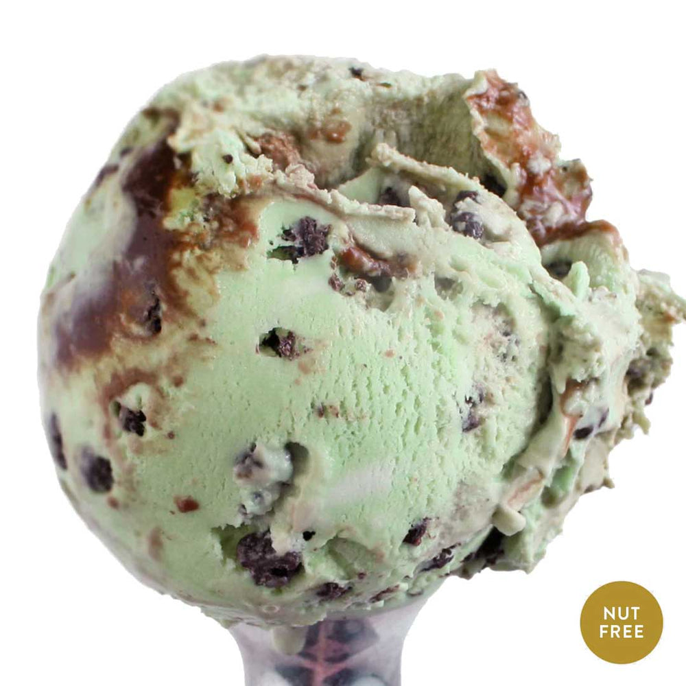 Mint Cookie Crunch Ice Cream | One Pint | Refreshing Mint Ice Cream Blended With Chocolate Cookie Crunch | Swirls of Gooey Fudge | Featured on Good Morning America, Shark Tank, and More! | Nebraska, Women-Operated Business | Pack of 4 | Shipping Included