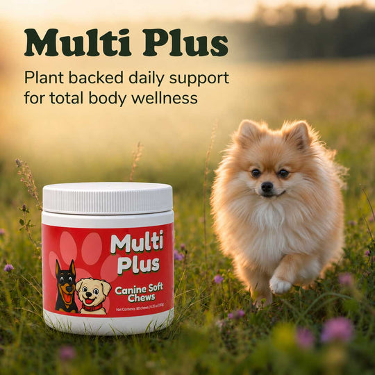 A jar of Multi Plus Canine Soft Chews placed in a grassy field with a small fluffy dog standing beside it. Text at the top reads 'Multi Plus' and 'Plant backed daily support for total body wellness.
