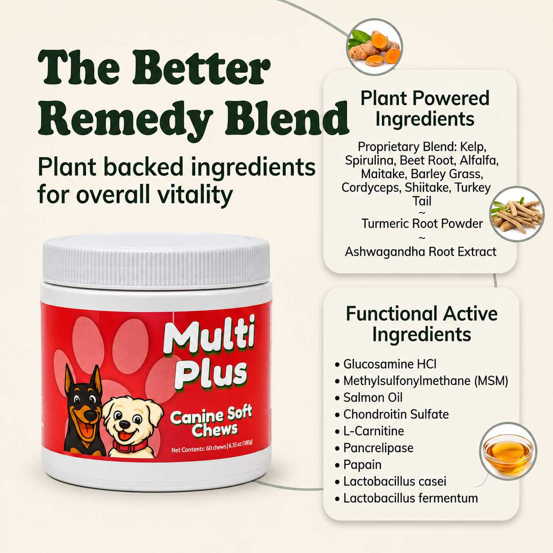 A white plastic jar of Multi Plus Canine Soft Chews with a red label, shown on a light beige background with informational text panels detailing plant and functional ingredients.