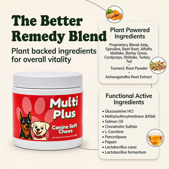 A white plastic jar of Multi Plus Canine Soft Chews with a red label, shown on a light beige background with informational text panels detailing plant and functional ingredients.