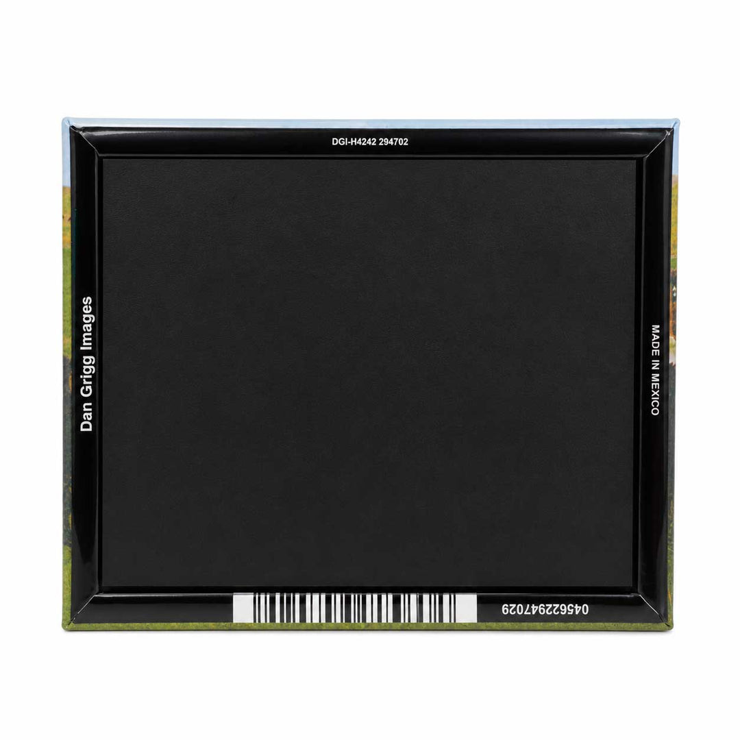 A black square picture frame with a thin dark border, shown against a plain white background. White text on the frame reads 'Dan Grig Images' on the left, 'Made in Mexico' on the right, and a barcode with numbers along the bottom.