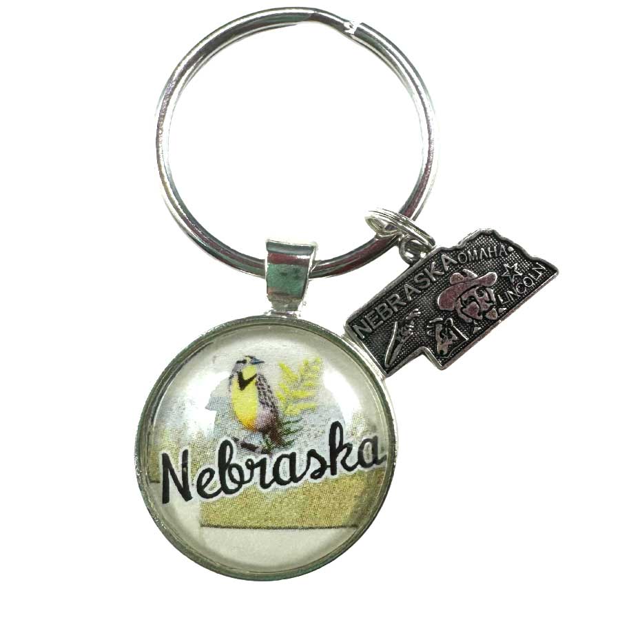 Key Chain With Nebraska State Bird Charms | Multiple Color Options | 1 1/4" Nickel Split Key Ring | Create