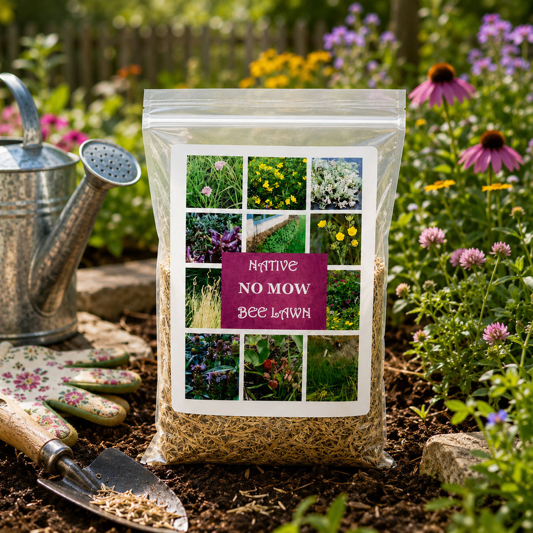 Bag of native no mow bee lawn mix with gardening tools and flowers in the background