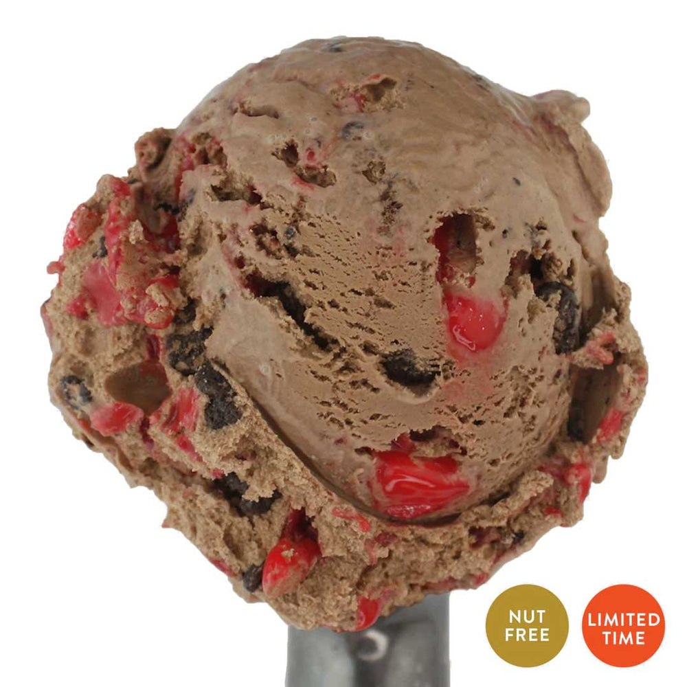 Peppermint Mocha Ice Cream | One Pint | Nut Free | Mix Of Chocolate Coffee Ice Cream With Chocolate Cookie Crunch & Refreshing Peppermint Pieces | Burst Of Flavor | Winter Wonderland Delight | Nebraska Ice Cream  | 4 Pack | Shipping Included