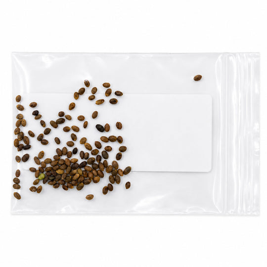 Clear plastic bag with brown seeds on a white background