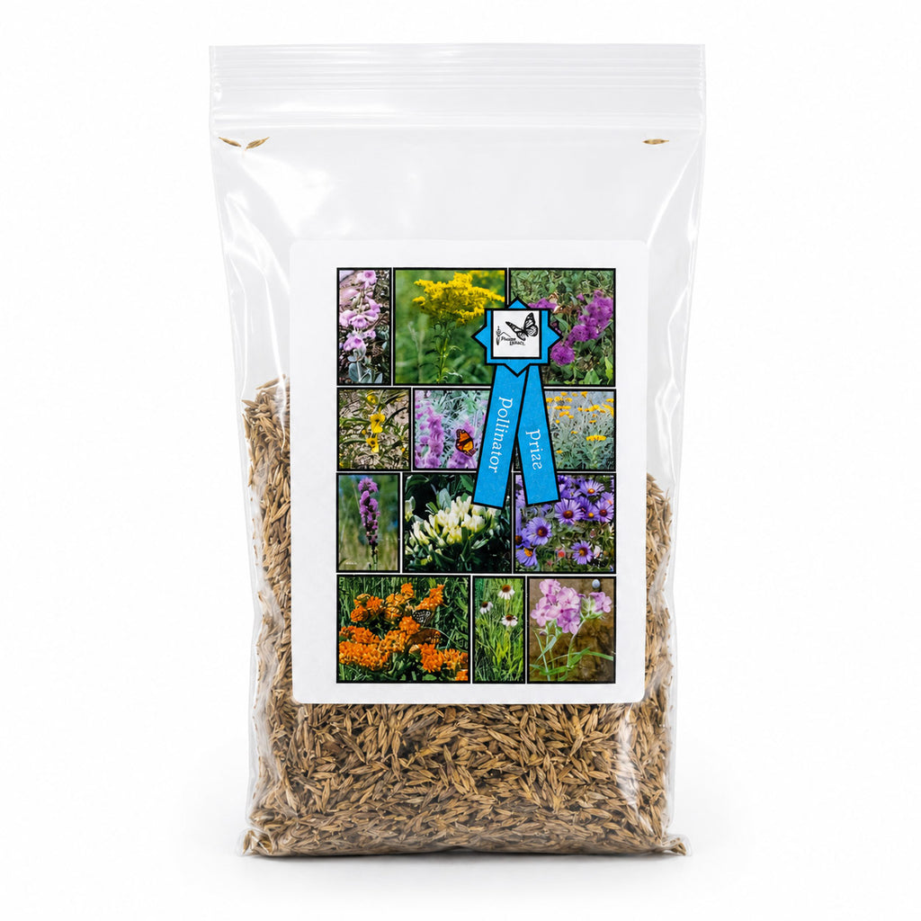pollinator wildflower seed mix Pollinator Prize Native Nebraska Flower Seed Mix | 2.03 oz