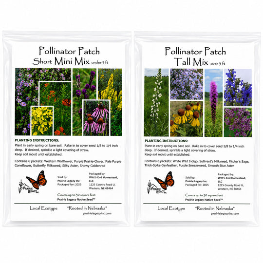 Two packets of Pollinator Patch seeds with images of flowers and text on a white background.