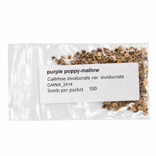 Package of purple poppy-mallow seeds with a label on a white background