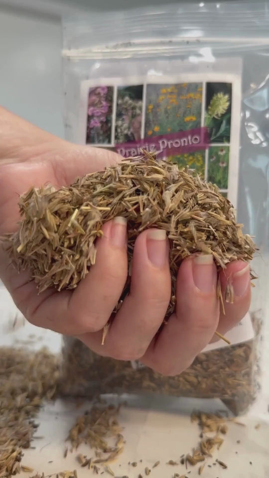 Backyard Bird Buffet Native Nebraska Wildflower Mix | 2.4 oz | Prairie Legacy Inc.