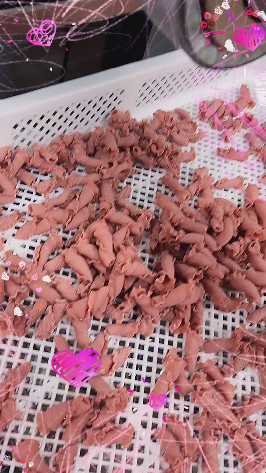 Fusilli Pasta | 16 oz | Pack of 2 | Sabbiatos