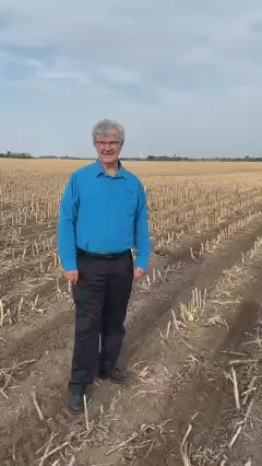 Cheese Flavored Microwave Popcorn | Box of 3 | Preferred Popcorn