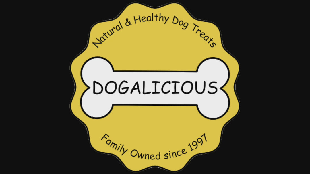 Doggy Apple Chips | Large | Dogalicious