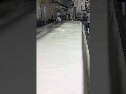 Dill Cheese Nuggets | Pack of 6 | 8 oz | Jisa's Farmstead Cheese