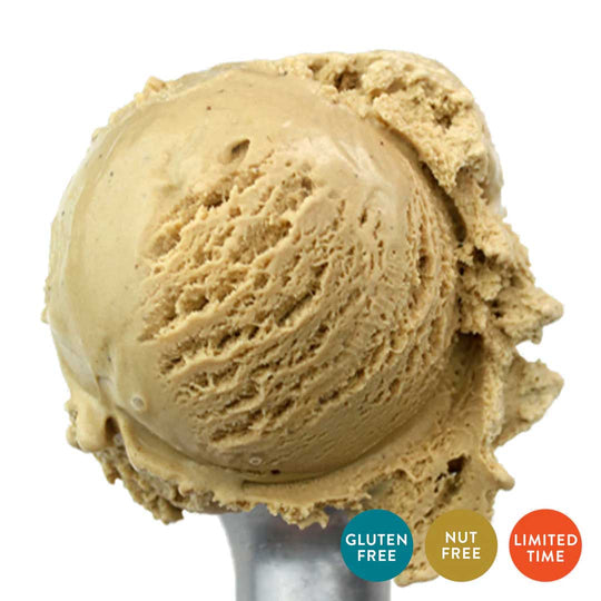 Pumpkin Pie Ice Cream | One Pint | Nut-Free | Gluten Free | Creamy Custard Blended With Fresh Pumpkin Puree and Pumpkin Pie Spices | Featured on Good Morning America, Shark Tank, And More! | Nebraska Ice Cream | Pack of 4 | Shipping Included