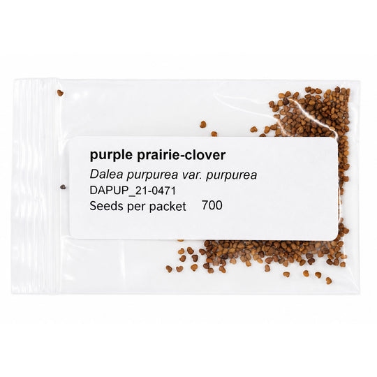 Seeds packet of purple prairie-clover with visible seeds on a white background