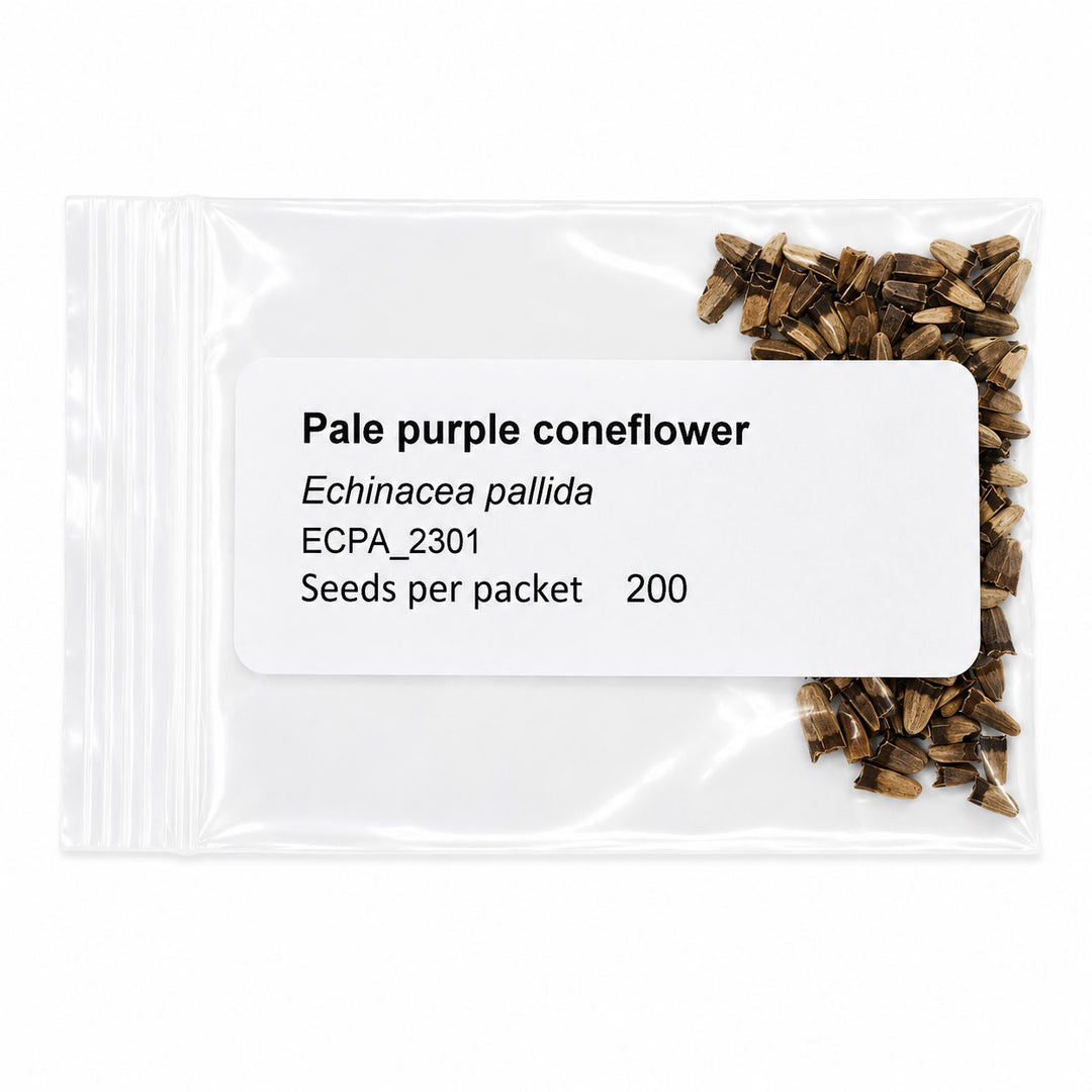 Seed packet for Pale purple coneflower with visible seeds on a white background
