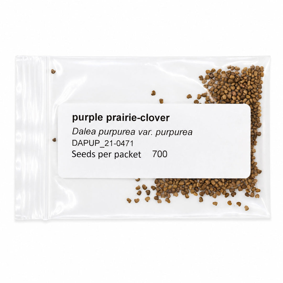 Seeds packet for purple prairie-clover with visible seeds on a white background