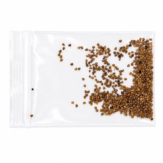 Clear plastic bag with scattered brown seeds on a white background