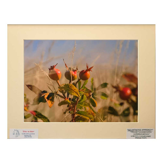 Hummingbird Photograph | 8x10 Image | 2 The Ends of the Earth