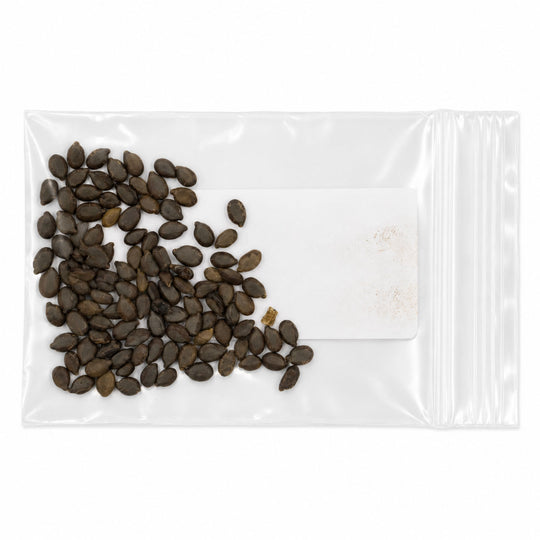 Clear plastic bag with dark seeds on a white background