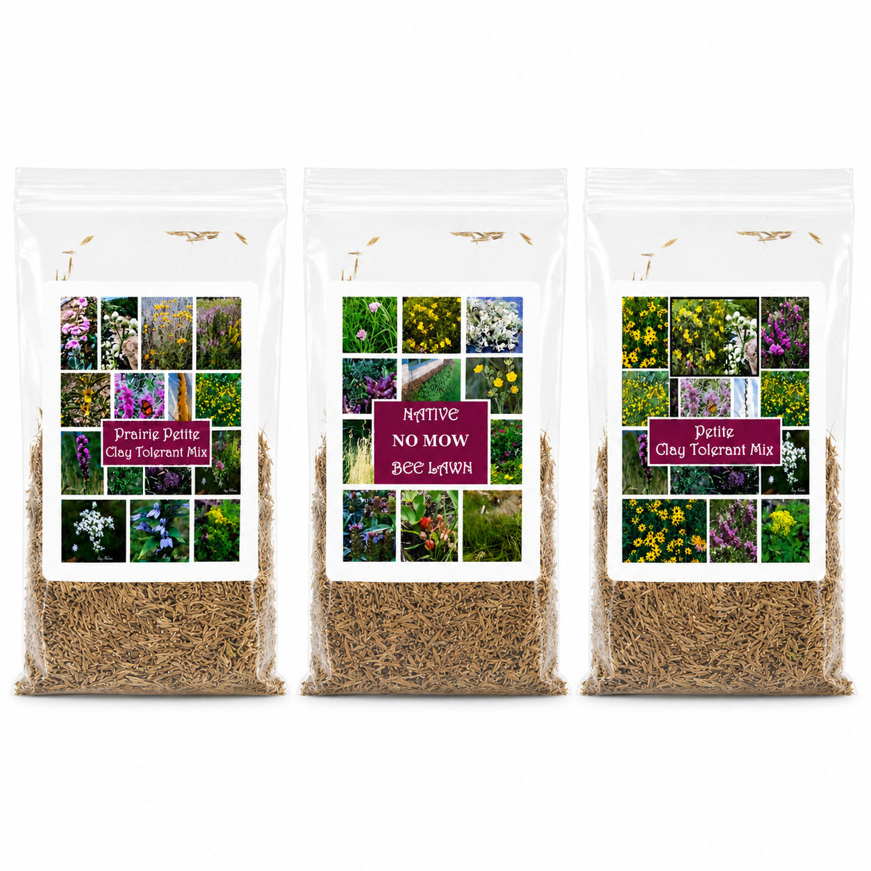 Three packages of native plant mix with colorful labels on a white background