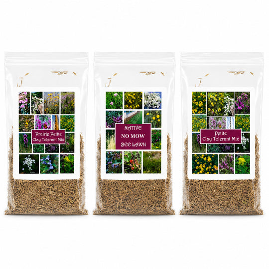 Three packages of native plant mix with colorful labels on a white background