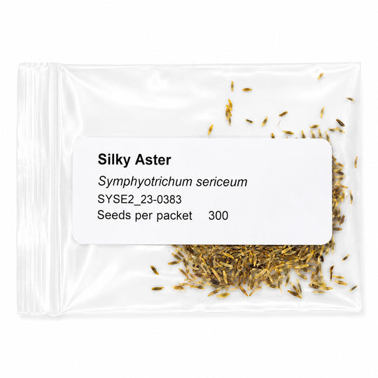 Seeds packet of Silky Aster with visible seeds on a white background