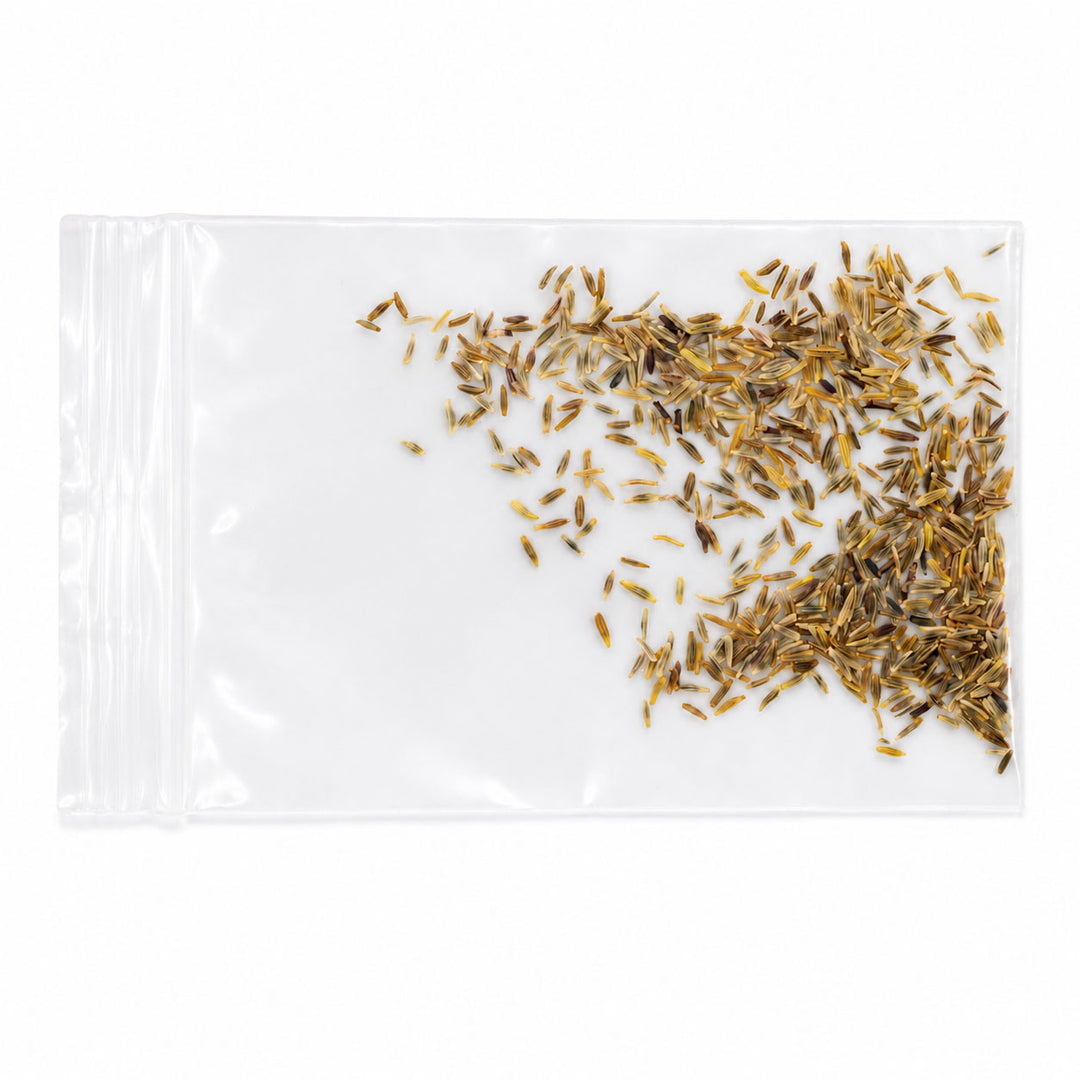Clear plastic bag with cumin seeds on a white background