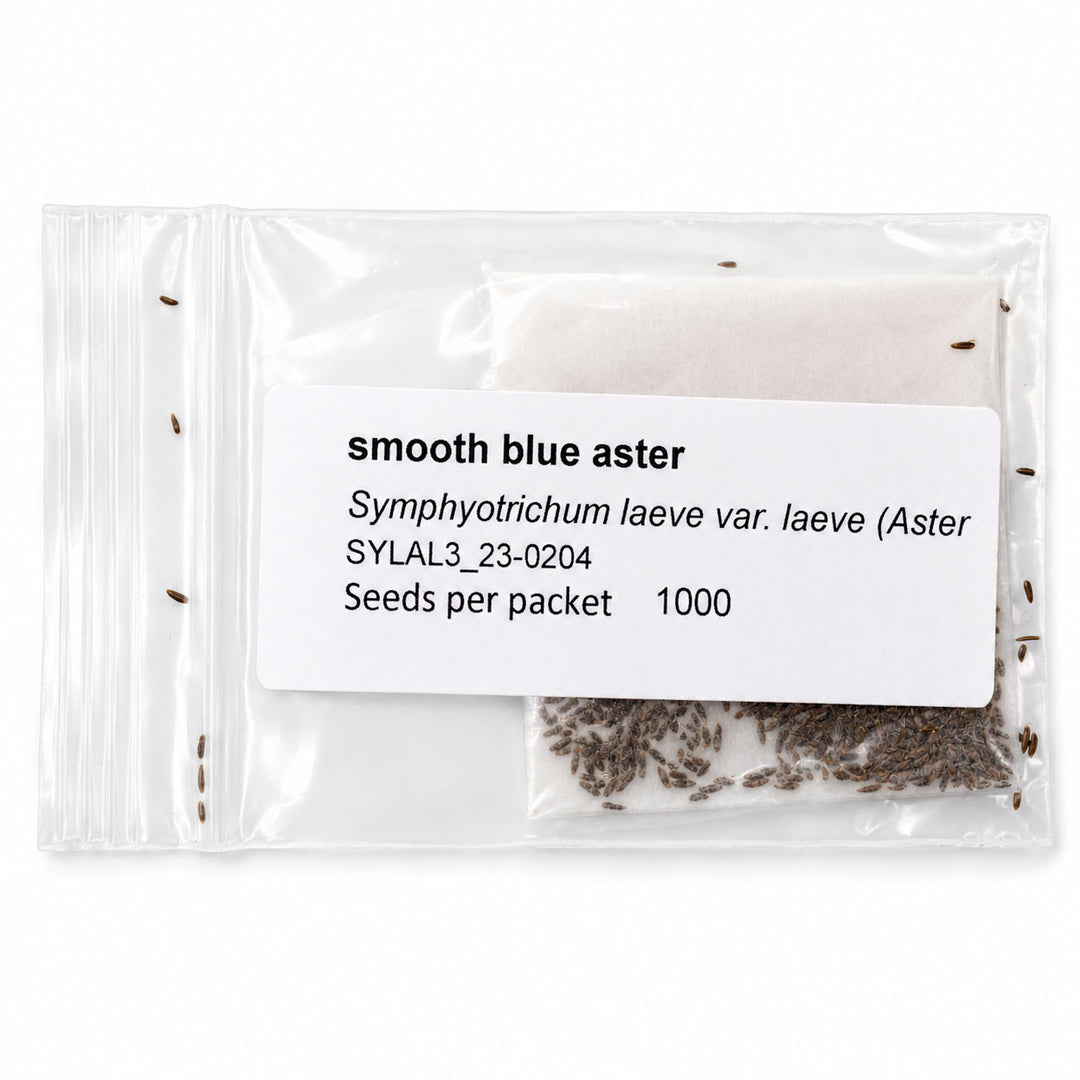 Seed packet labeled 'smooth blue aster' with a white background