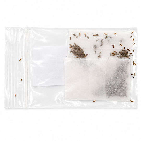 Clear plastic package with a white square inside, containing small seeds or particles.