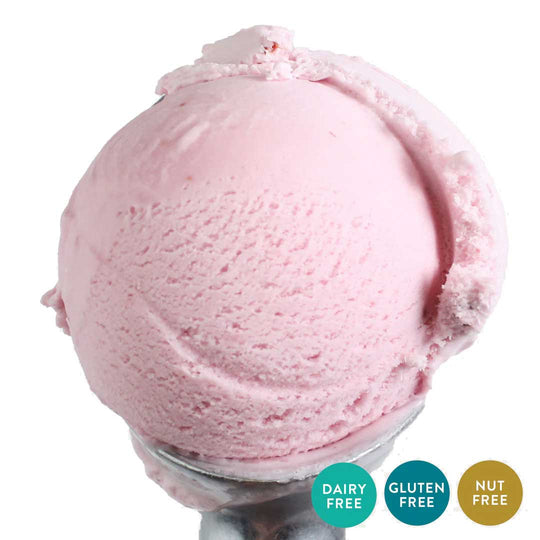 Raspberry Sorbet | One Pint | Gluten, Dairy, & Nut-Free | Tangy, Fresh Raspberries Churned In Dairy-Free Sorbet | Featured on Shark Tank, Good Morning America, and More! | Pack of 4 | Shipping Included