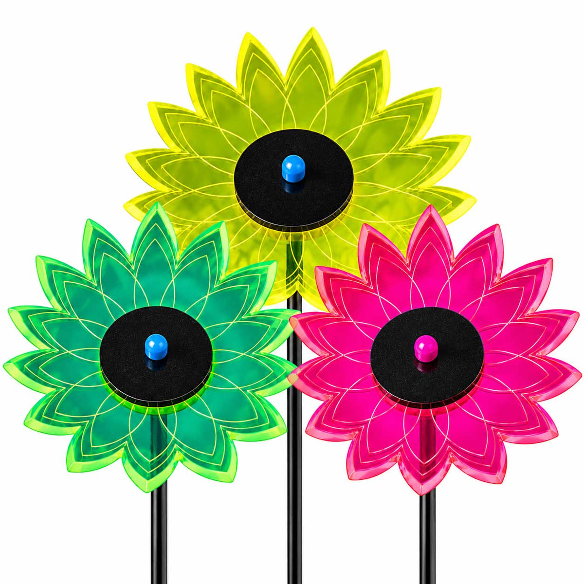 Sunflower Bundle Pack of 3