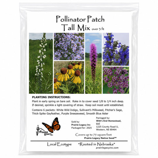 Mini Native Tall Pollinator Patch Seed Mix | Prairie Legacy Inc.