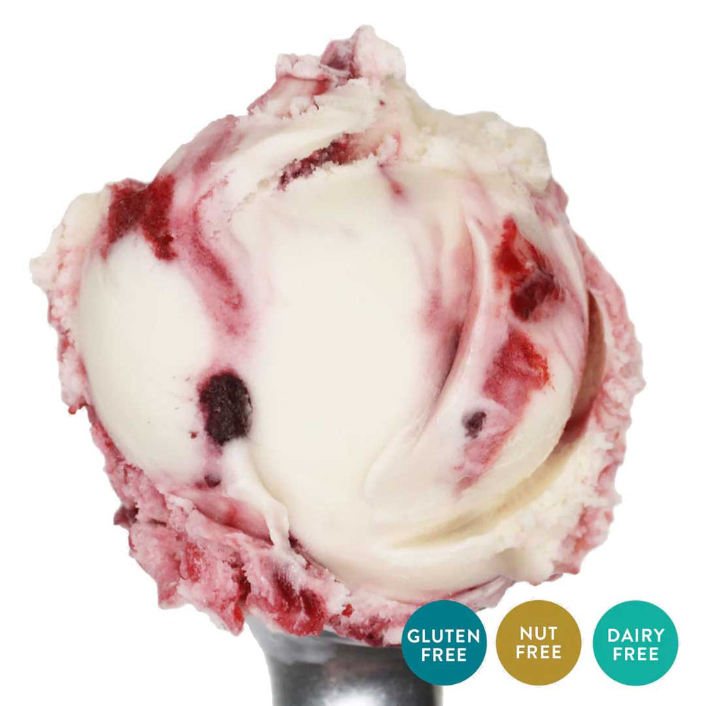 Triple Berry Oat Milk Ice Cream | One Pint | Gluten, Dairy, and Nut-Free Ice Cream | Trio of Berry Swirls: Strawberry, Raspberry, and Blueberry | Creamy Vanilla Base | Featured on Shark Tank, Today Show, and More! | Pack of 4 | Shipping Included