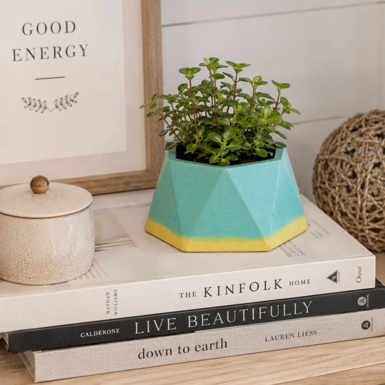 planter on books