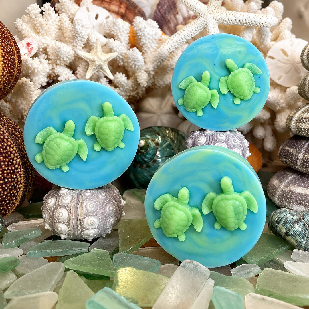 Three blue soaps with green turtles on top, surrounded by seashells and coral.