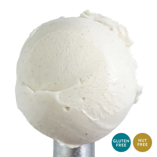 Vanilla Bean Ice Cream | One Pint | Nut-Free | Gluten Free | Vanilla Ice Cream Churned With Flecks of Madagascar Vanilla Beans | Featured on Good Morning America, Shark Tank, And More! | Nebraska Ice Cream | Pack of 4 | Shipping Included