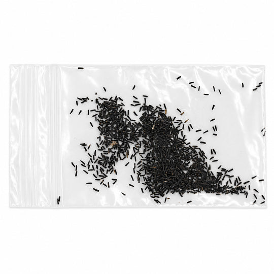 Clear plastic bag with black seeds or small objects on a white background