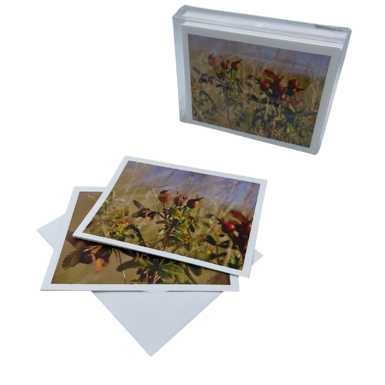 Hummingbird Greeting Cards | 4x6 Images | Greeting Card Pack | Image May Vary | Envelopes Included | Perfect Greeting Card For Hummingbird Or Bird Lover