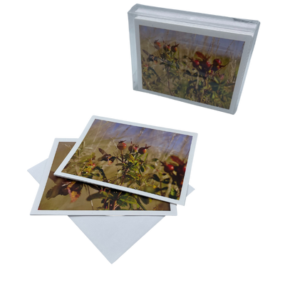 Fhoto Kardz Hummingbird Approaching  |  4x6 Greeting Cards With Envelopes Image Varies