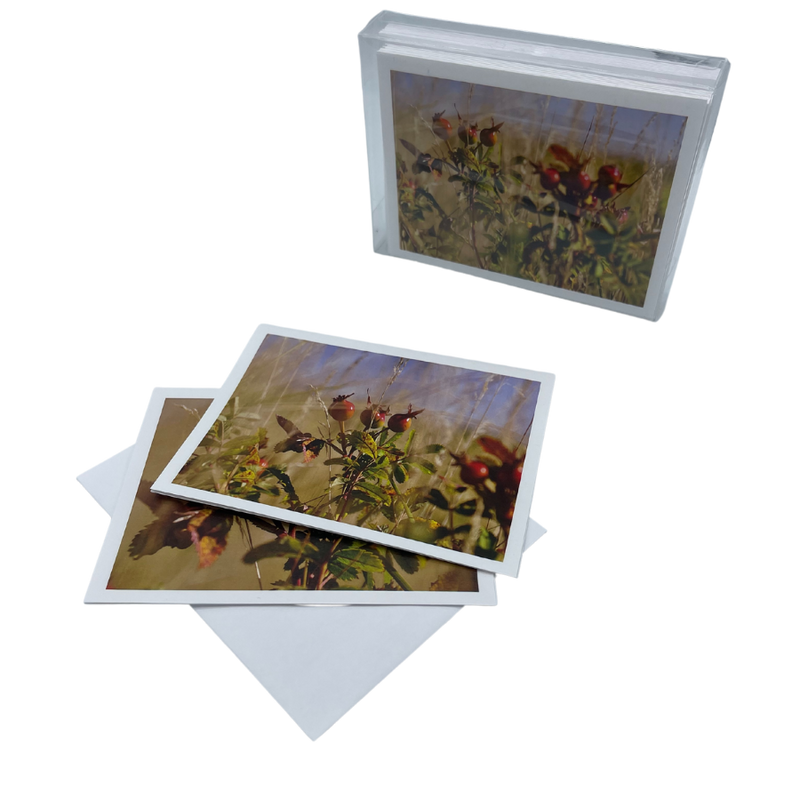 Fhoto Kardz Hummingbird Approaching  |  4x6 Greeting Cards With Envelopes Image Varies