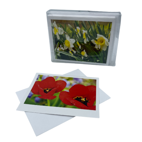 Bright Red Flower On A White Card With An Envelope Placed Underneath