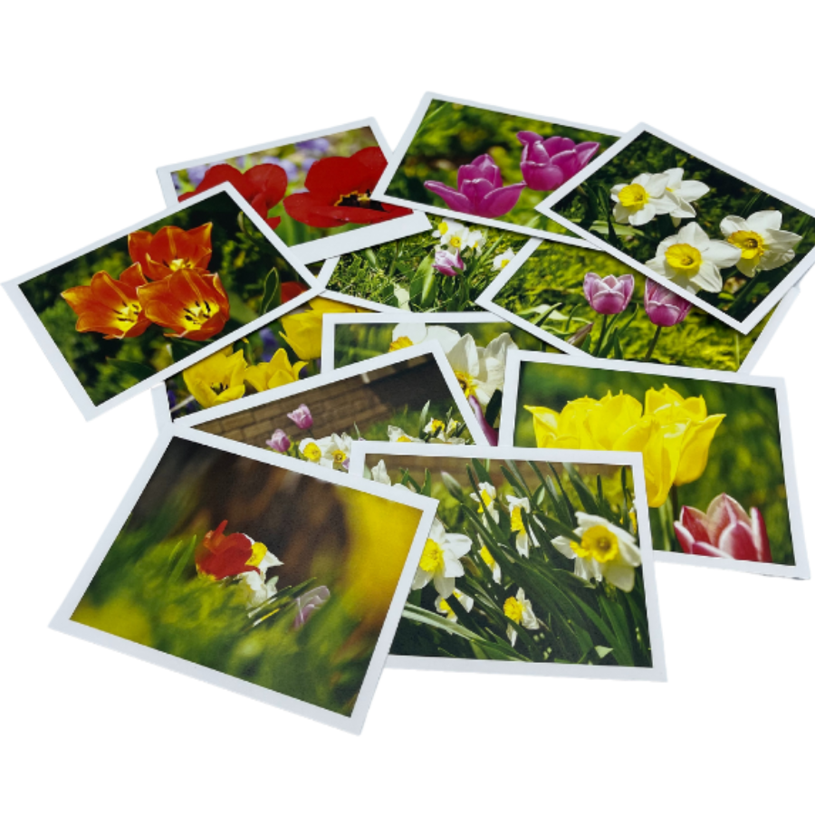 Variety Of Flower Greeting Cards Strewn On A Clear Background