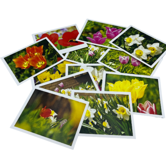 Variety Of Flower Greeting Cards Strewn On A Clear Background