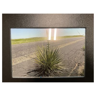 Image Of A Narrow-Leaf Yucca Plant On The Side Of A Highway Road With A Black Frame Border