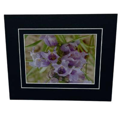 Wild Foxglove Flowers Photograph | 5x7 With Mat