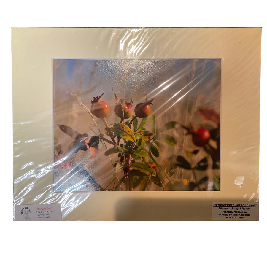 Image Of A Hummingbird Approaching A Berry Plant With A Cream Mat